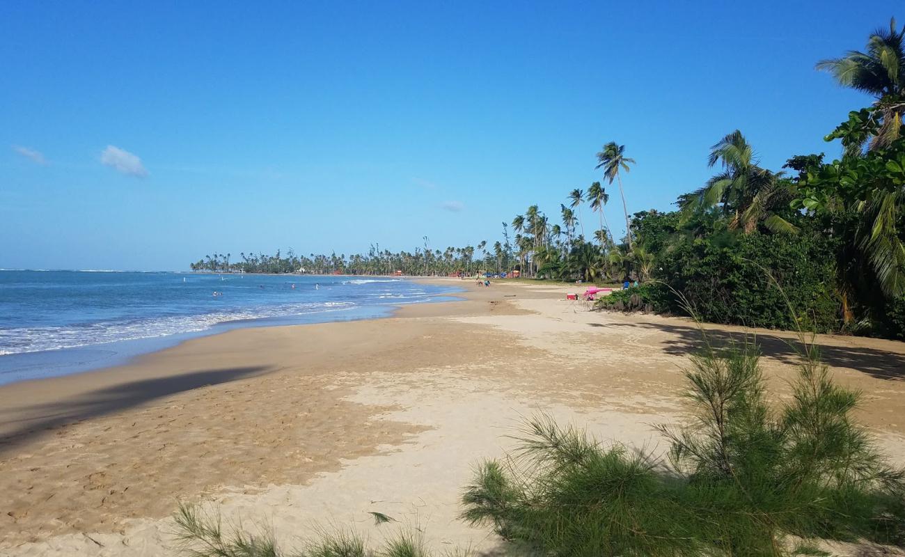 Фото Playa Fortuna с светлый песок поверхностью