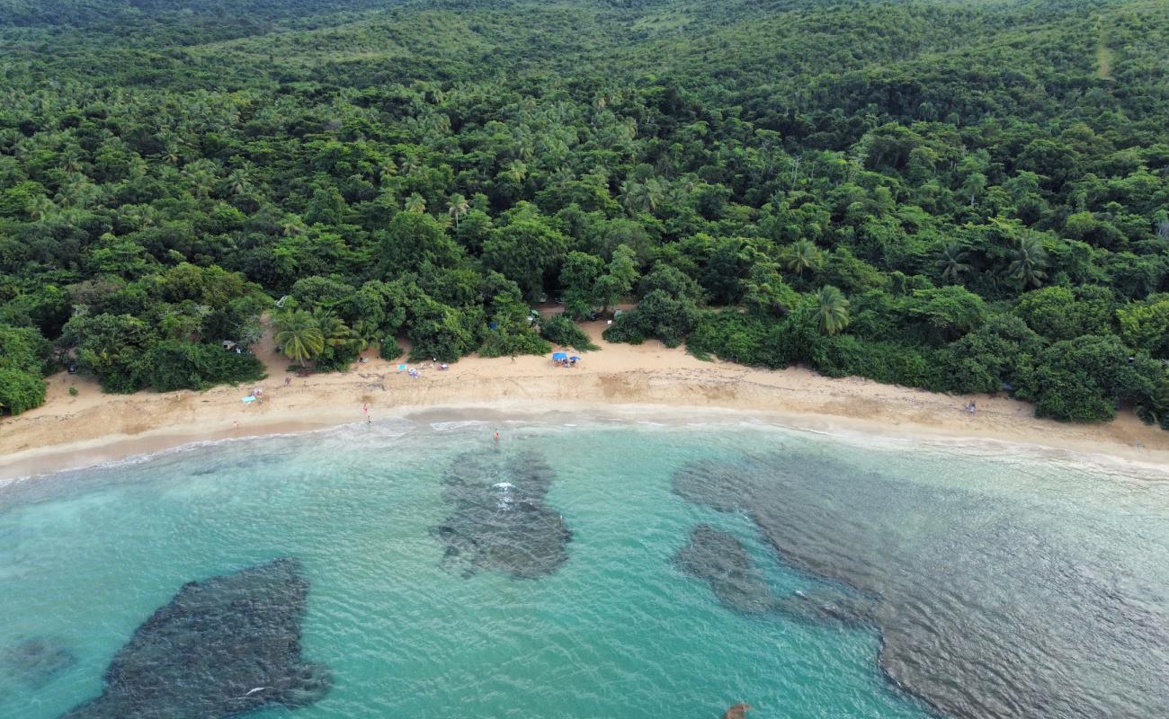 Фото Playa La Selva с золотистый песок поверхностью