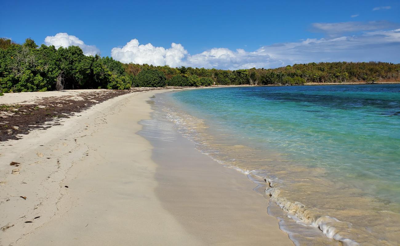 Фото Playa Cayo Pineiro с золотистый песок поверхностью