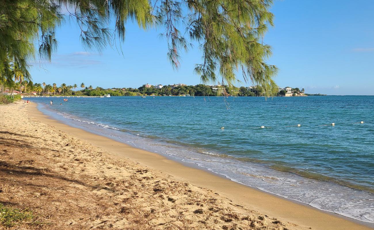 Фото Playa Cana Gorda с золотистый песок поверхностью