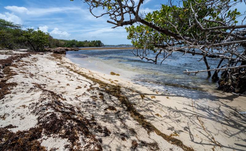 Фото Playa Los Congres с светлый песок поверхностью