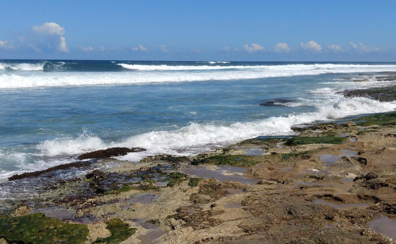 Фото Los Almendros beach с камни поверхностью