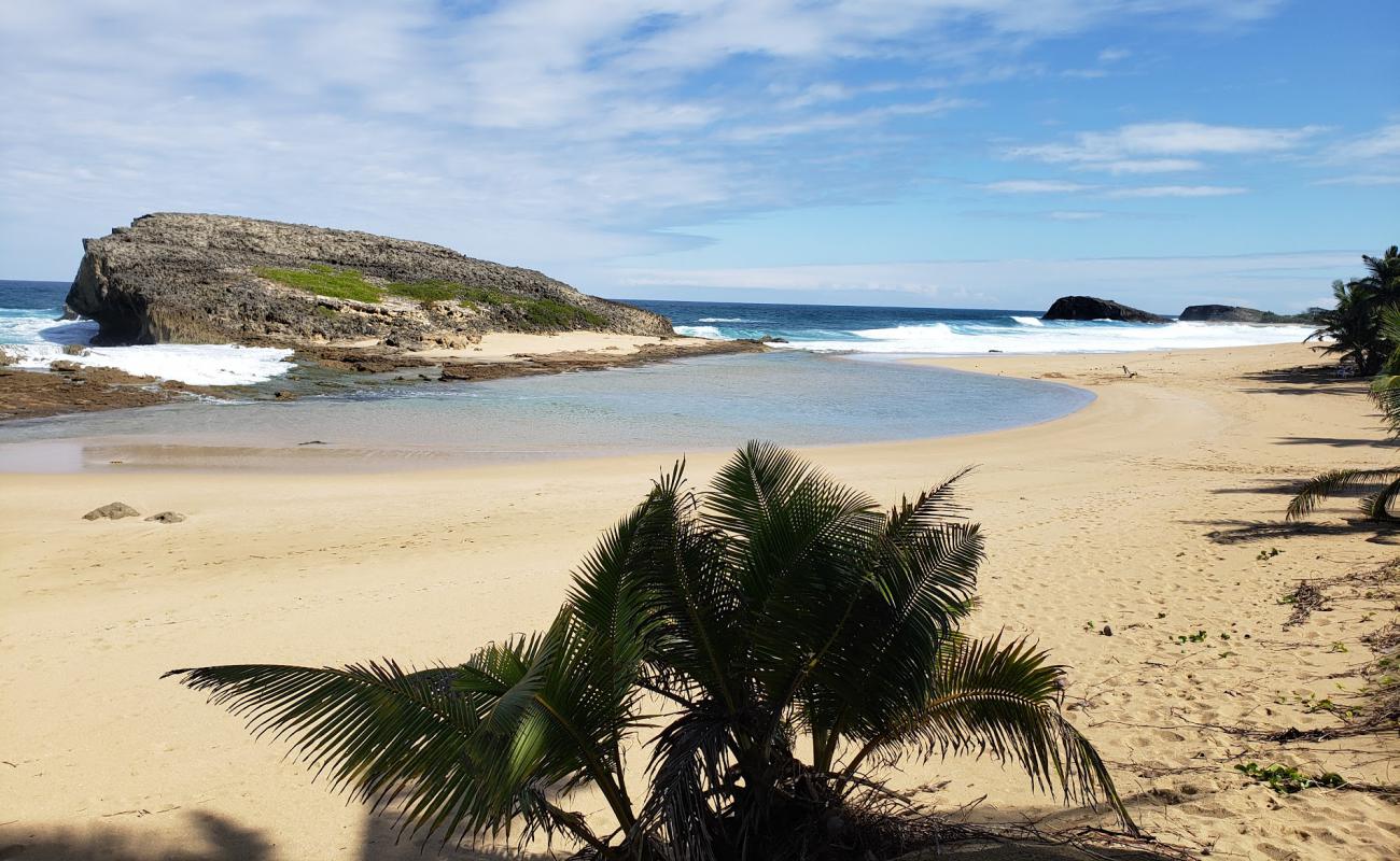 Фото Arecibo beach с светлый песок поверхностью