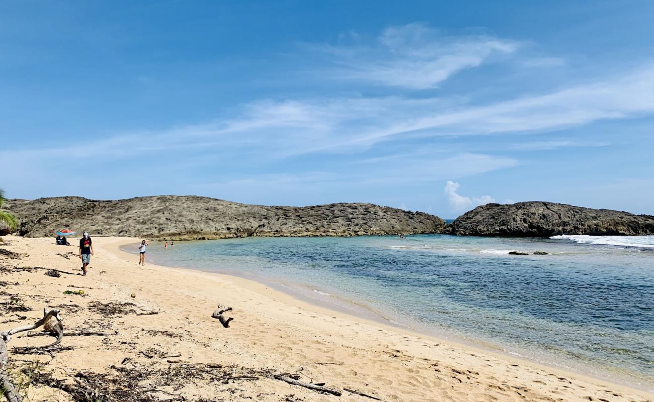 Фото Playa Tombolo beach с светлый песок поверхностью