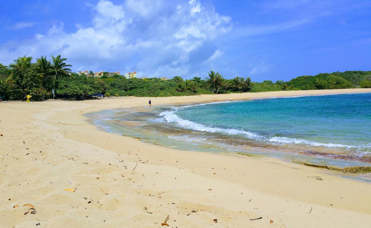 Фото Las Palmas beach с светлый песок поверхностью