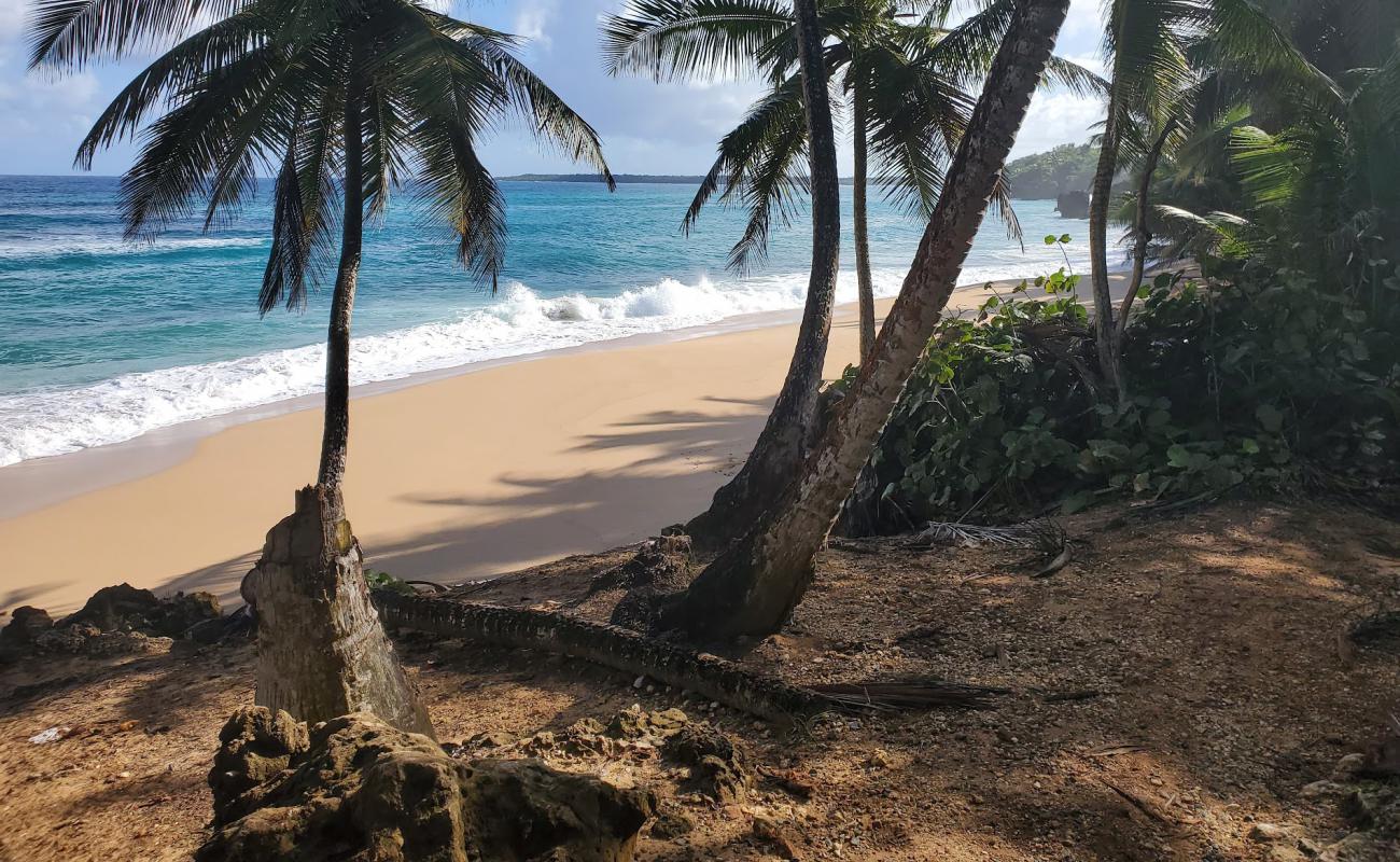 Фото Escondida beach с светлый песок поверхностью