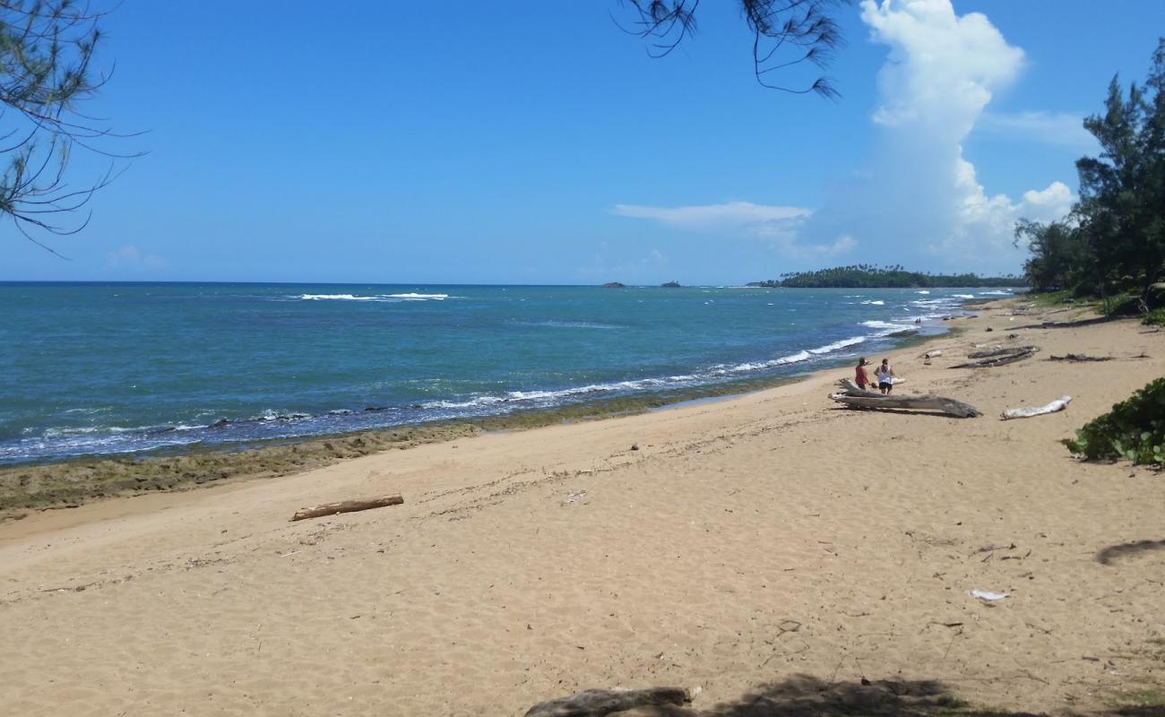 Фото Playa de Vega Baja с песок с камнями поверхностью