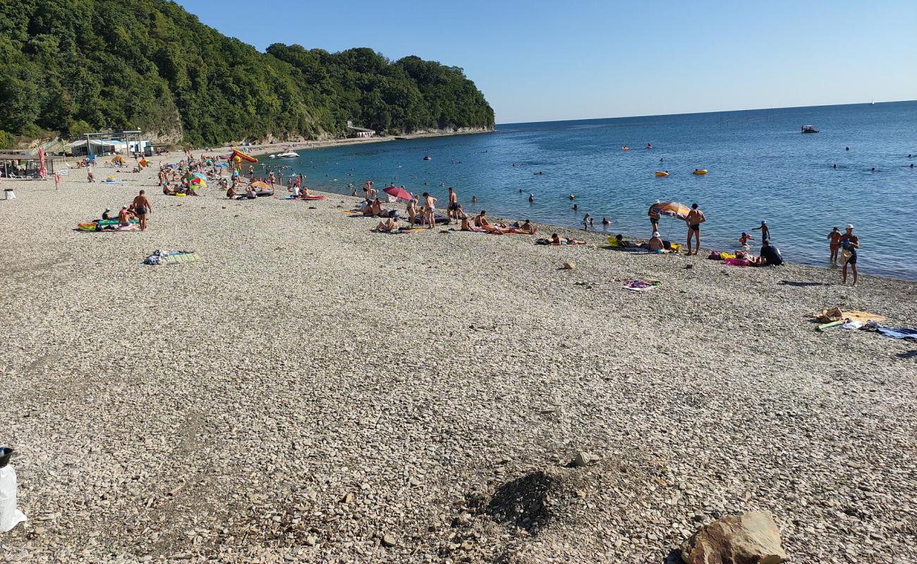 Фото Primorskaya beach с серая галька поверхностью