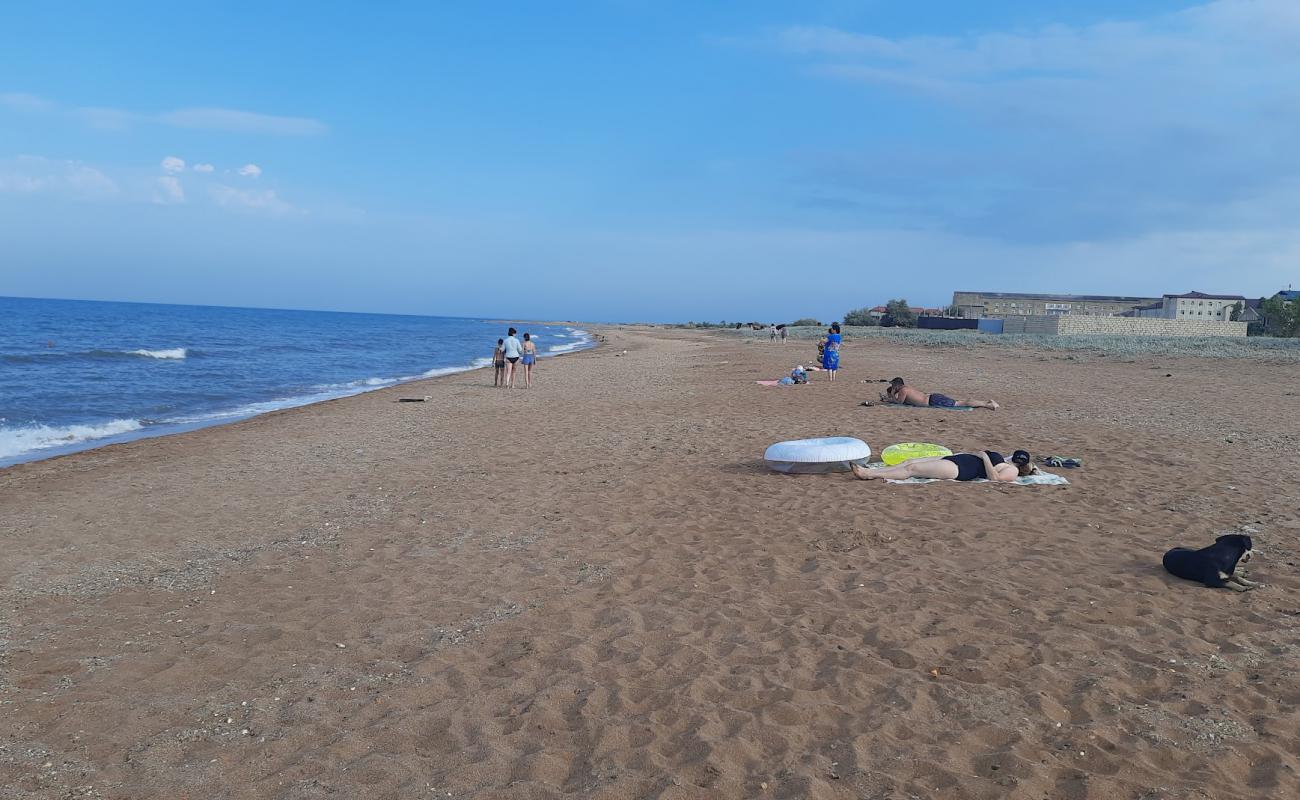 Фото Пляж Пальмира с светлый песок поверхностью