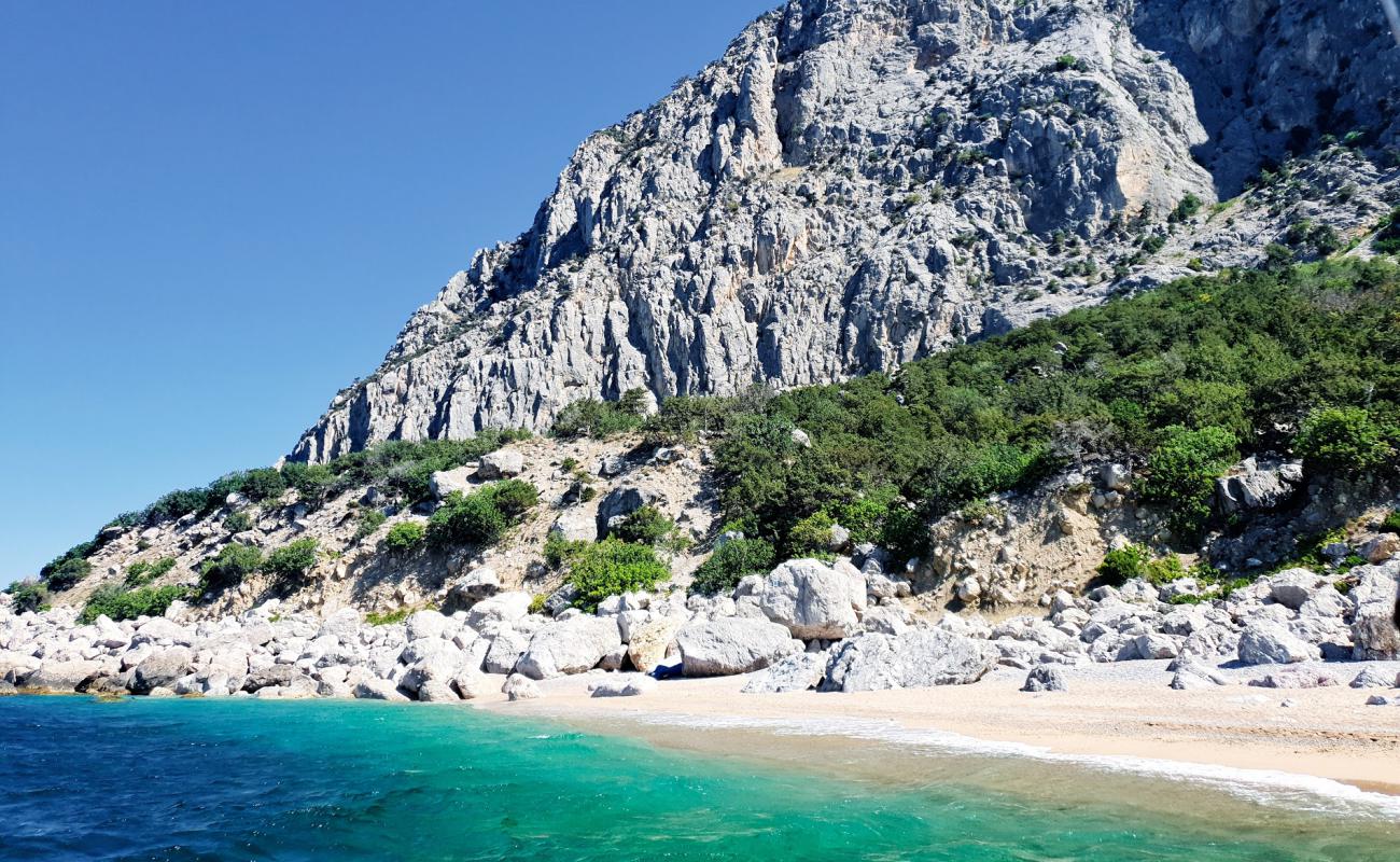 Фото Lost World beach с серая чистая галька поверхностью