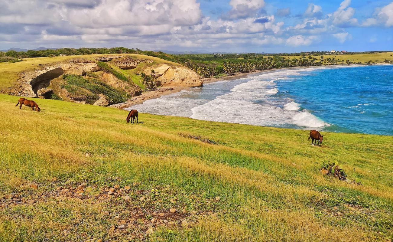 Фото Honeymoon beach с светлый песок поверхностью