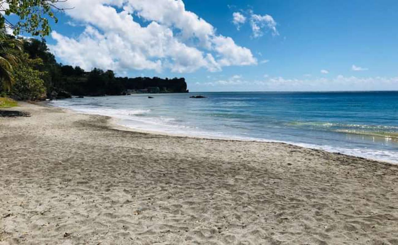 Фото Sabwisha beach с золотой ракушечник поверхностью