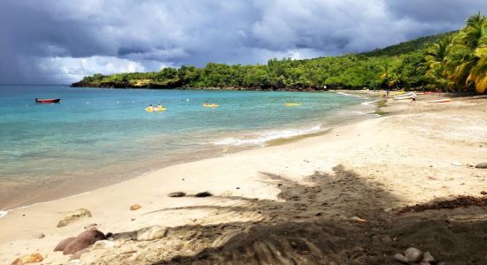 Anse Cochon beach