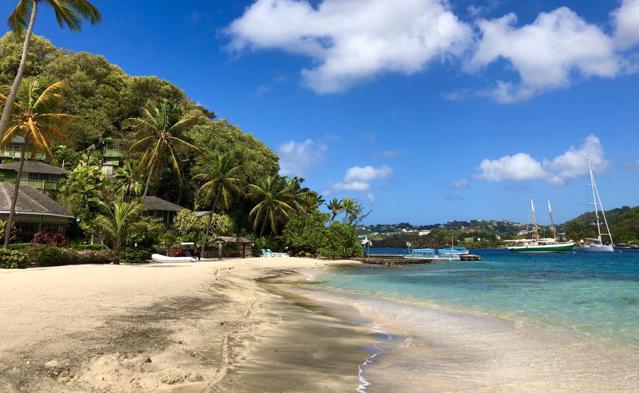 Фото Young Island beach с золотистый песок поверхностью