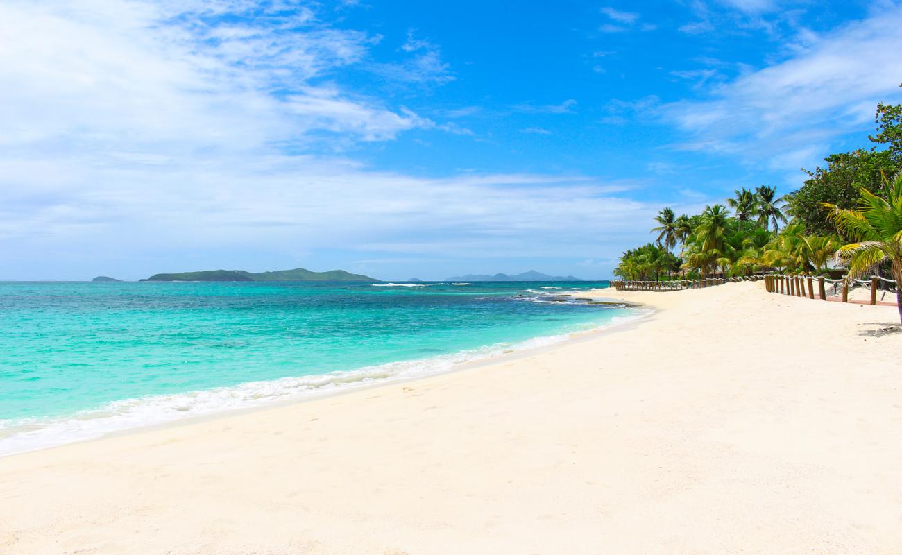 Фото Palm Island beach с белый песок поверхностью