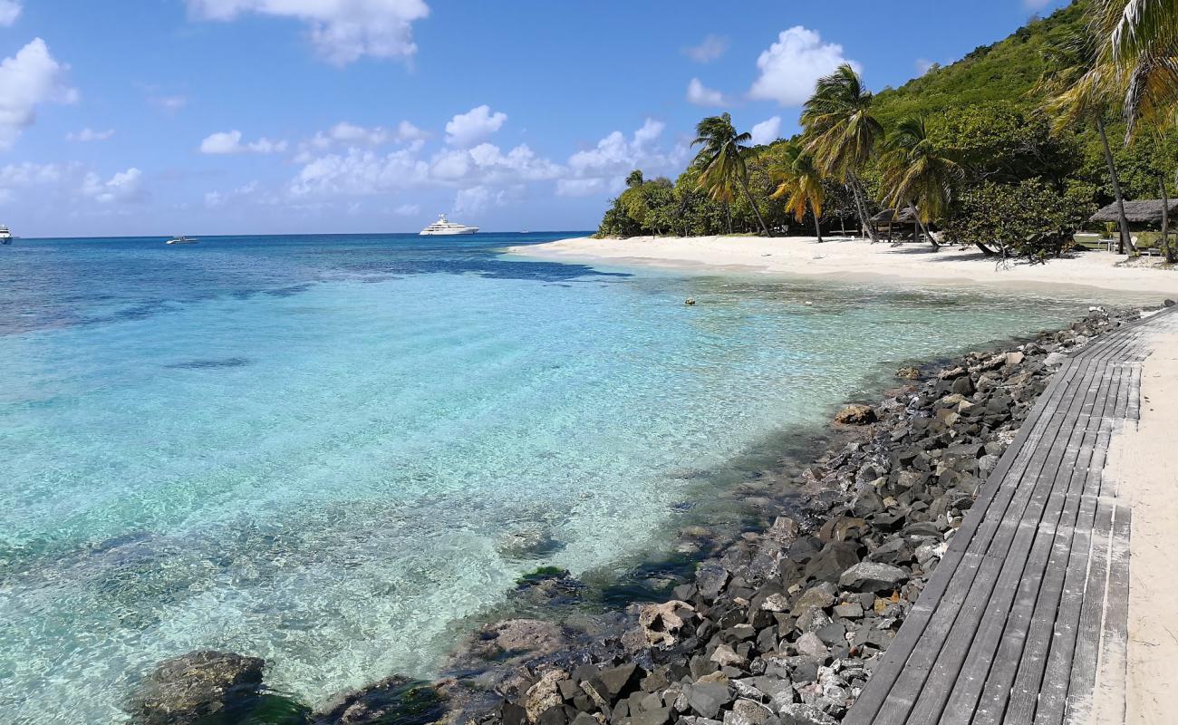 Фото Petit Saint Vincent beach с белый чистый песок поверхностью