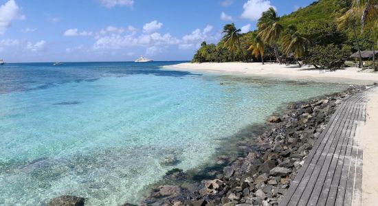 Petit Saint Vincent beach