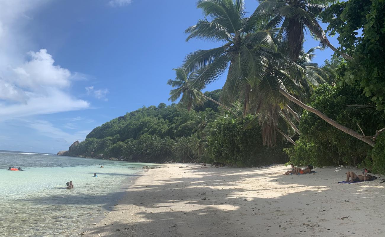 Фото Anse Parnell Beach с золотистый песок поверхностью