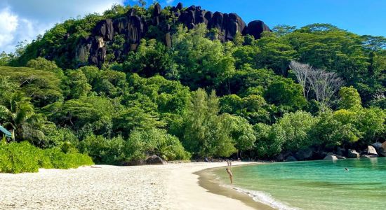 Anse Louis Beach