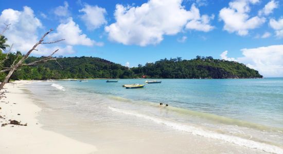 Anse Boileau Beach