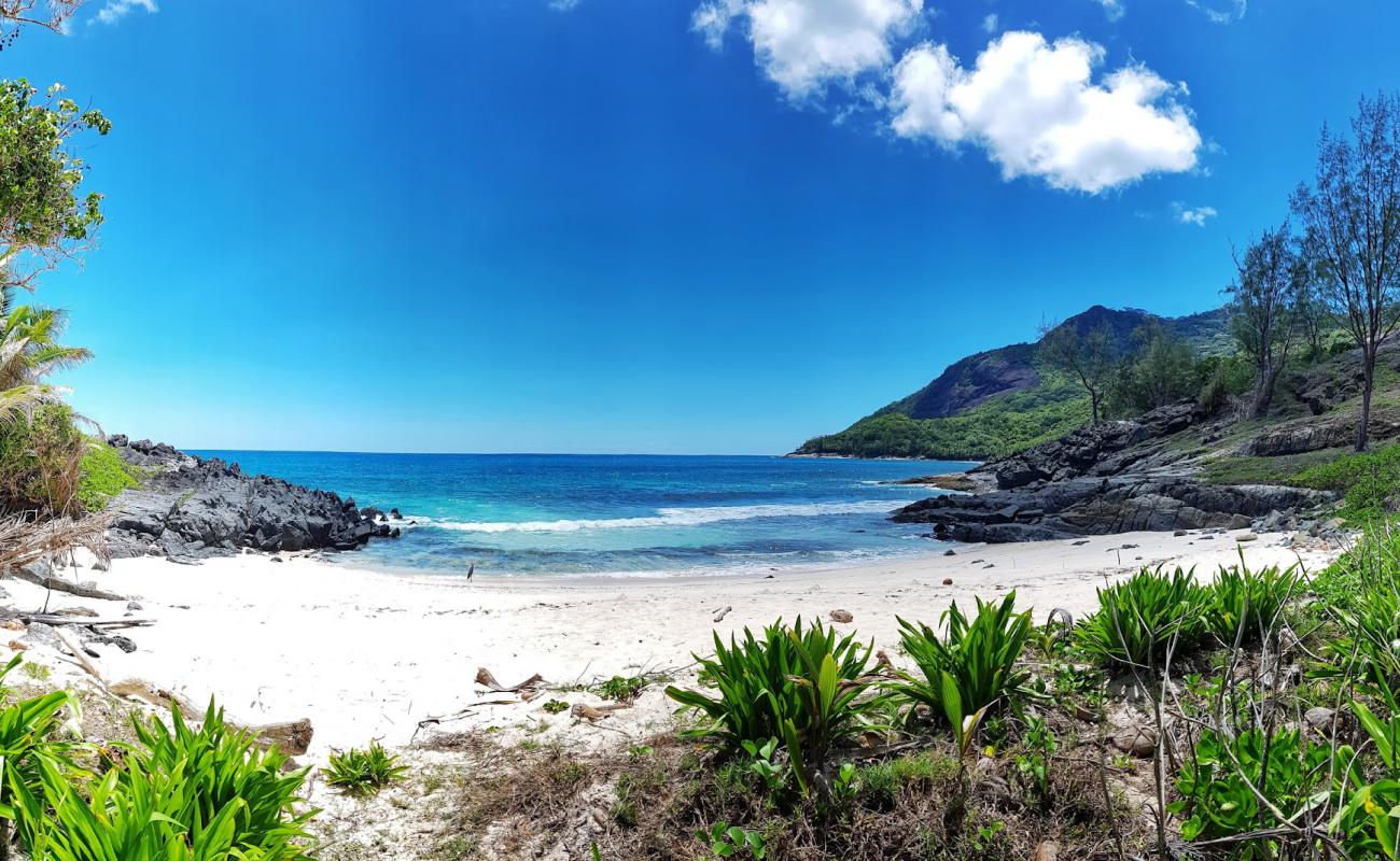 Фото Anse Simetiere Beach с золотистый песок поверхностью