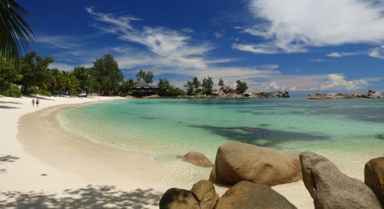 Petite Anse Kerlan Beach