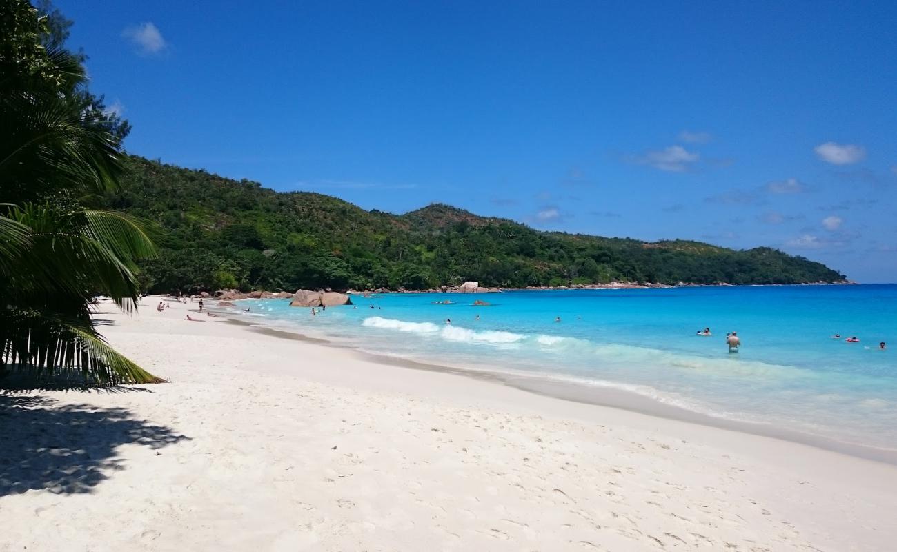 Фото Anse Lazio Beach с белый чистый песок поверхностью