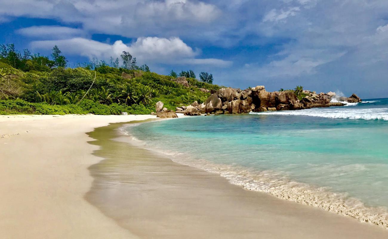 Фото Anse Cocos Beach с белый чистый песок поверхностью