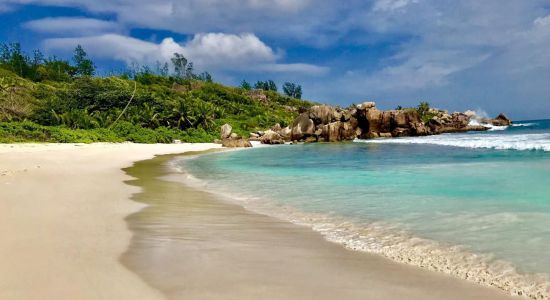 Anse Cocos Beach