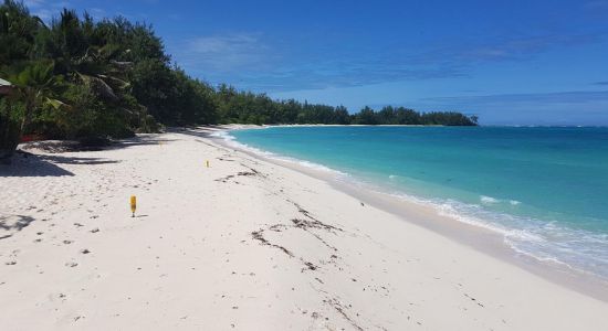 Denis Island Beach