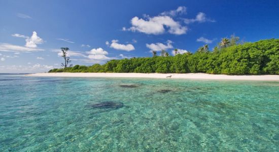 Bird Island Beach