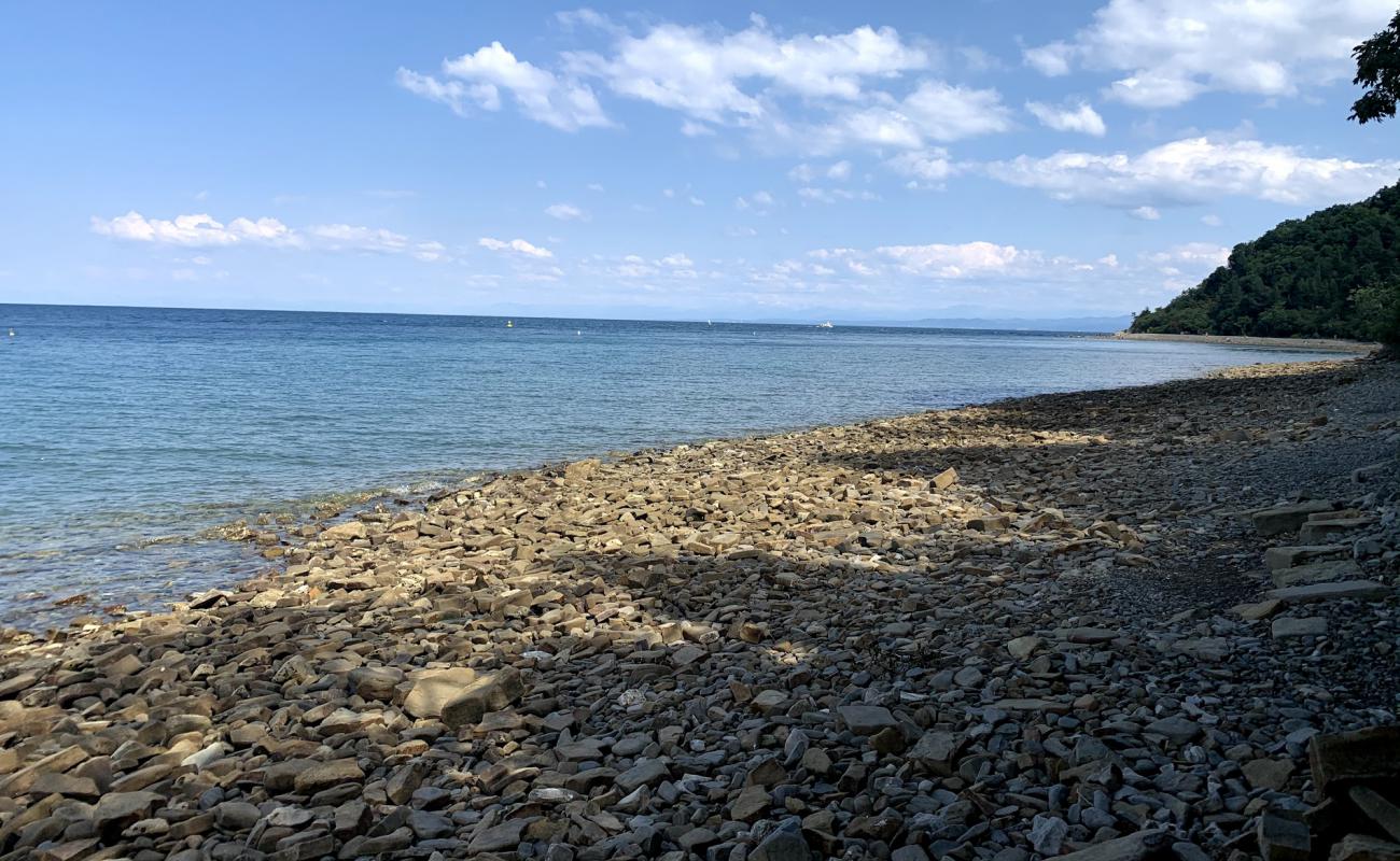 Фото Strunjan beach с камни поверхностью