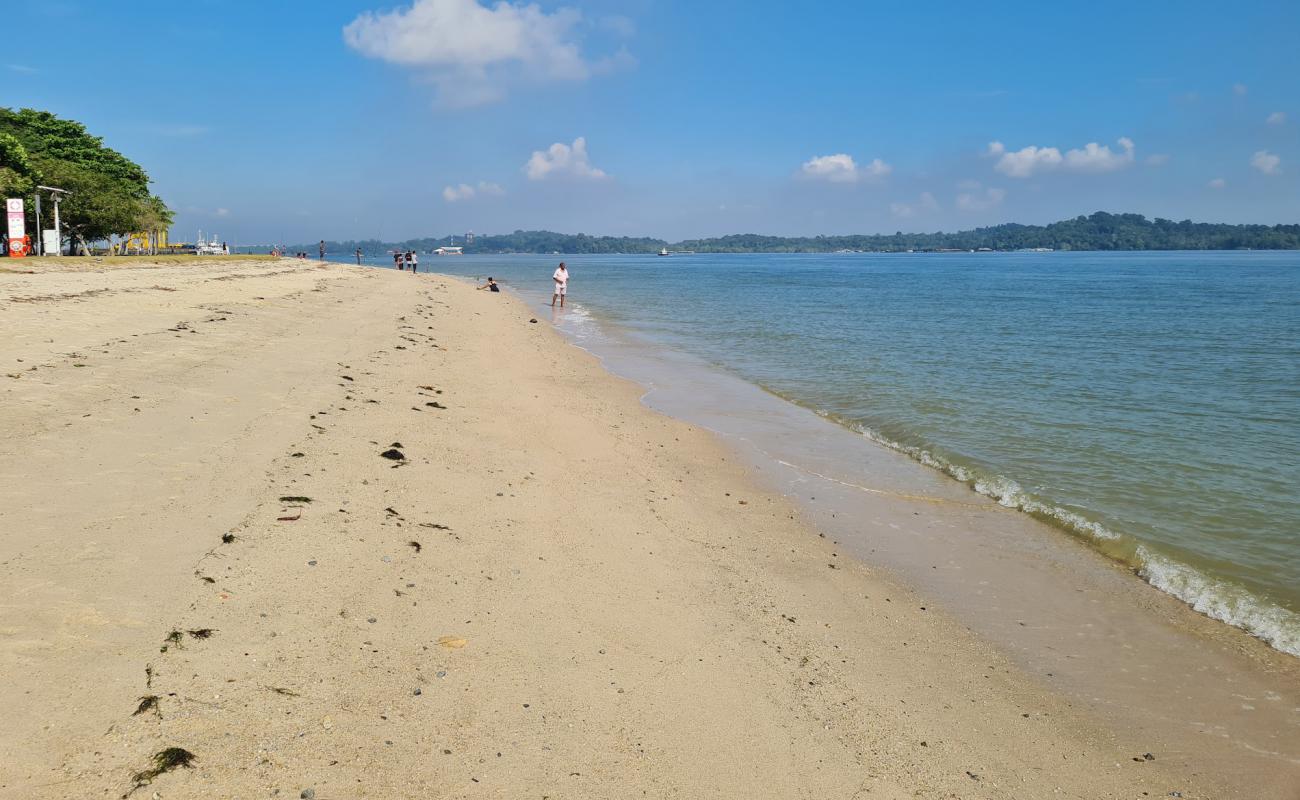 Фото Changi Beach с светлый песок поверхностью