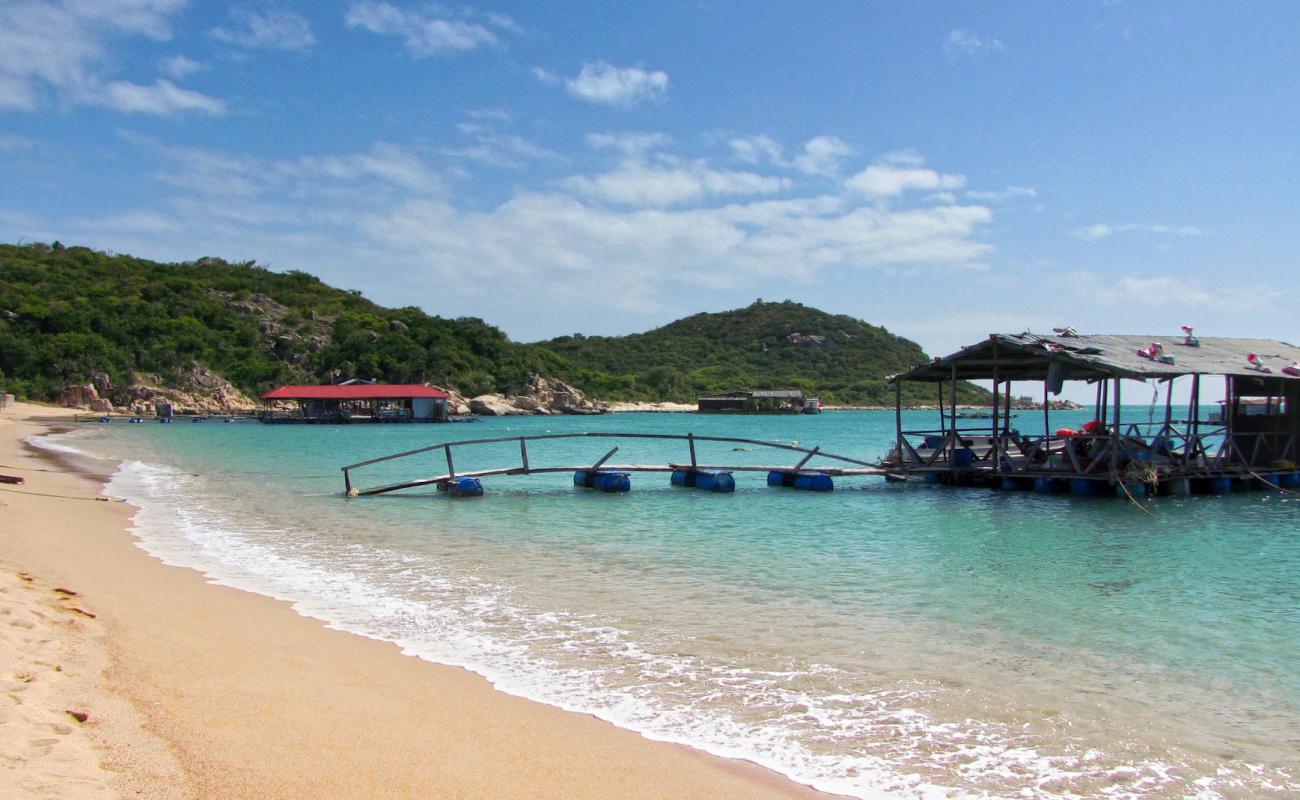 Фото Vinh Hy Beach с светлый песок поверхностью