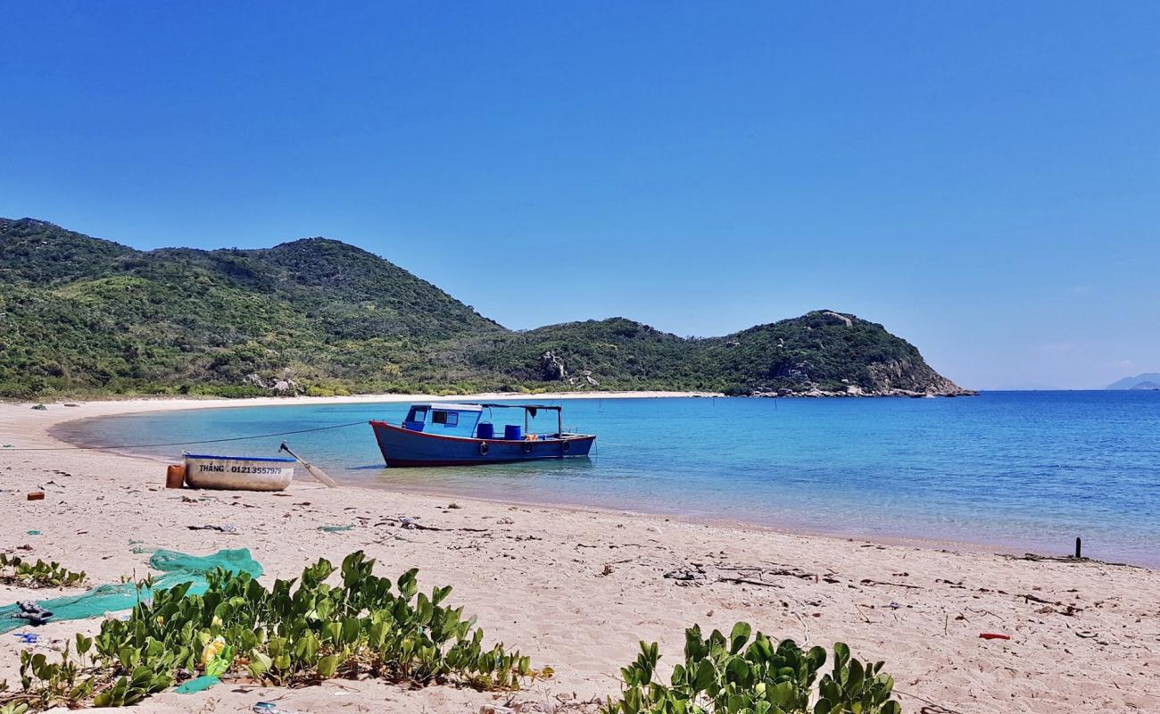 Фото Bai Dam Beach с светлый песок поверхностью