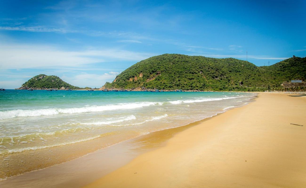 Фото Dai Lanh Beach с светлый песок поверхностью