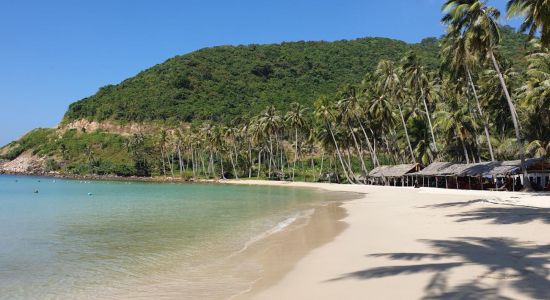 Bai Cay Men