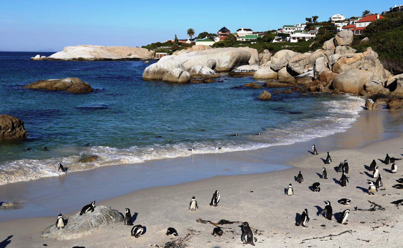 Фото Boulders Beach с светлый песок поверхностью