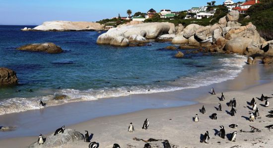 Boulders Beach