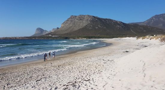 Pringle Bay beach