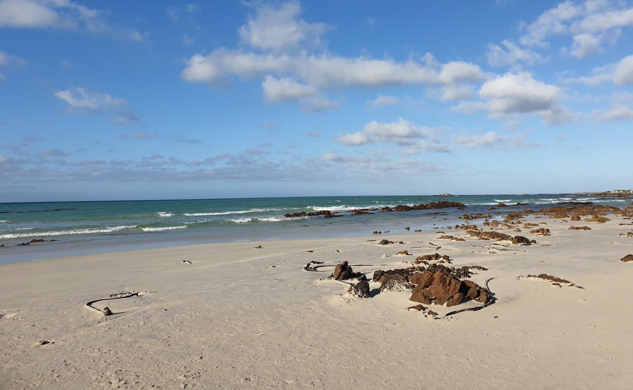 Фото Franskraal beach с светлый песок поверхностью