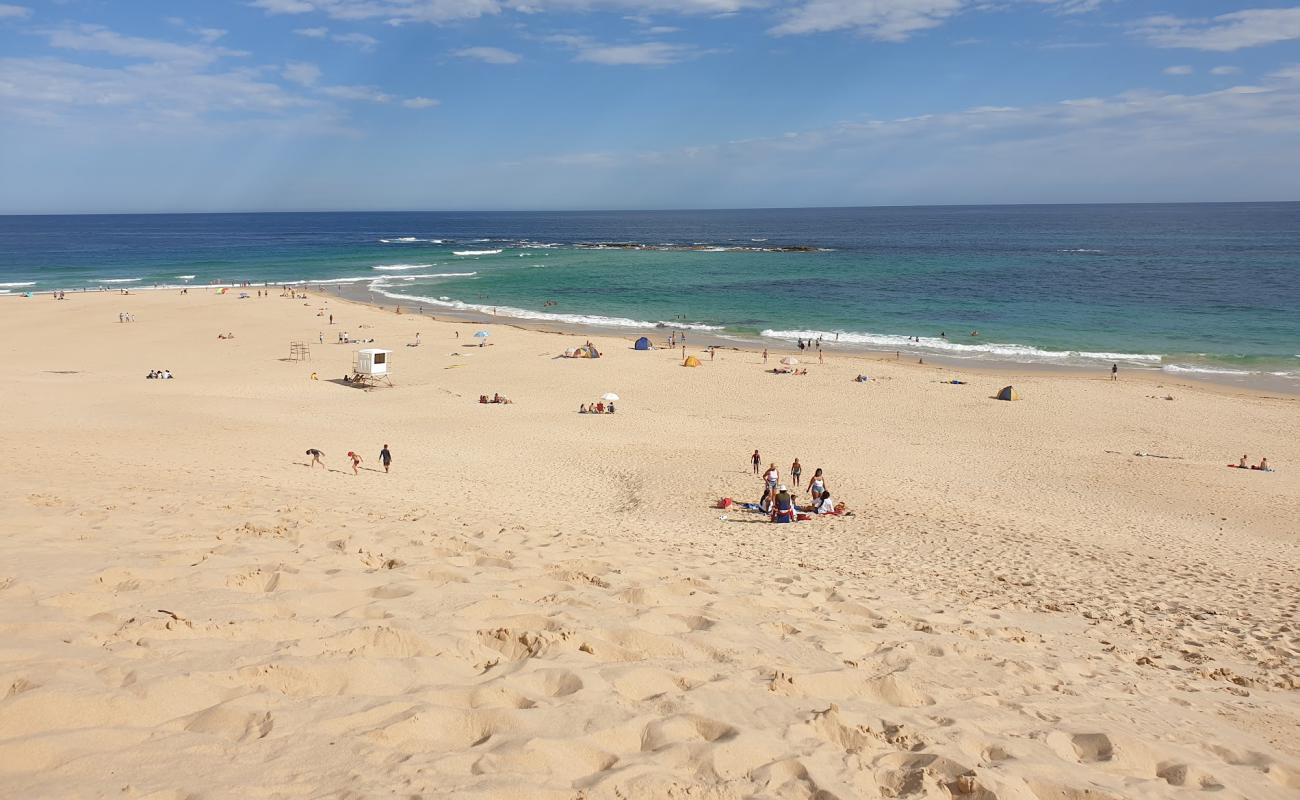 Фото Sardinia Bay beach с светлый песок поверхностью