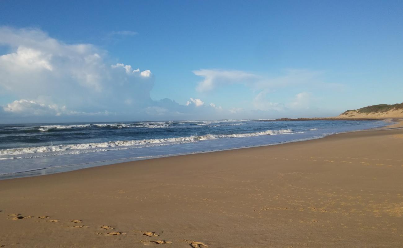 Фото Forest Downs beach с светлый песок поверхностью