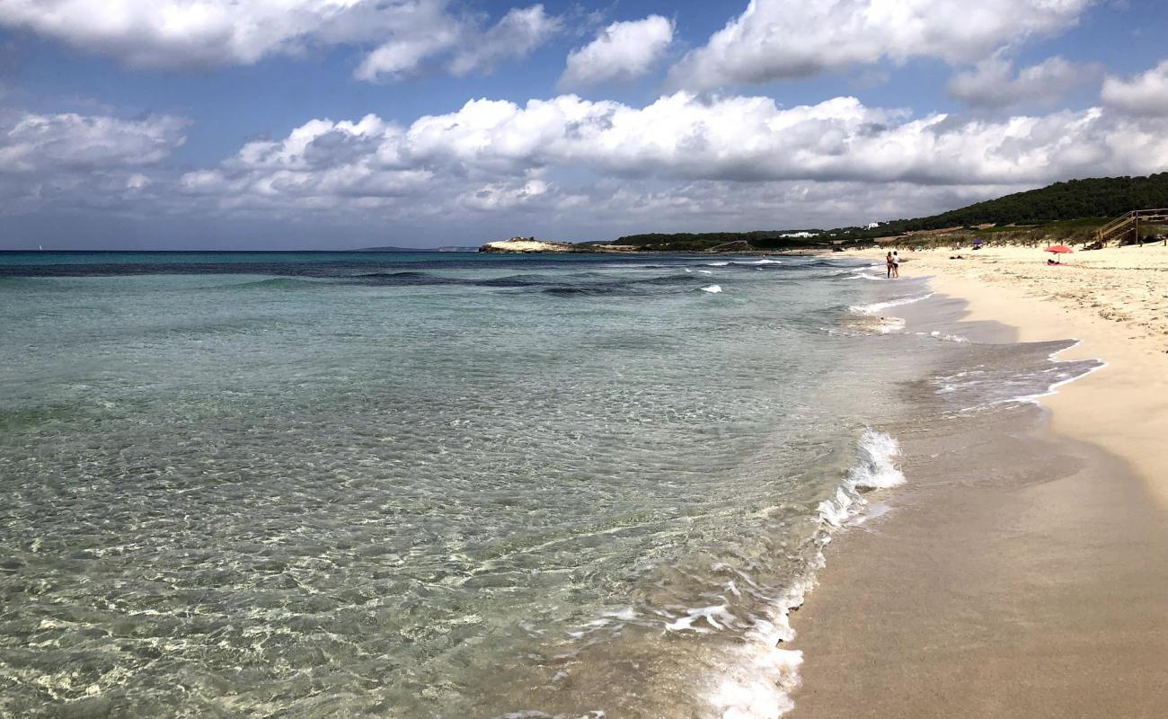 Фото Son Bou Beach с золотистый песок поверхностью