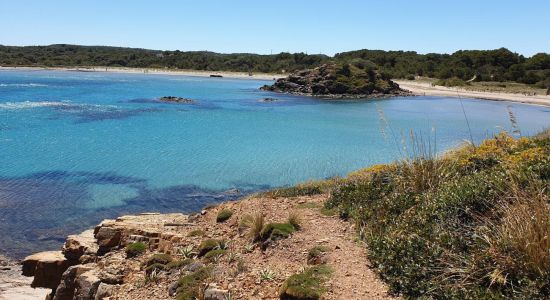 Platja Es Grau