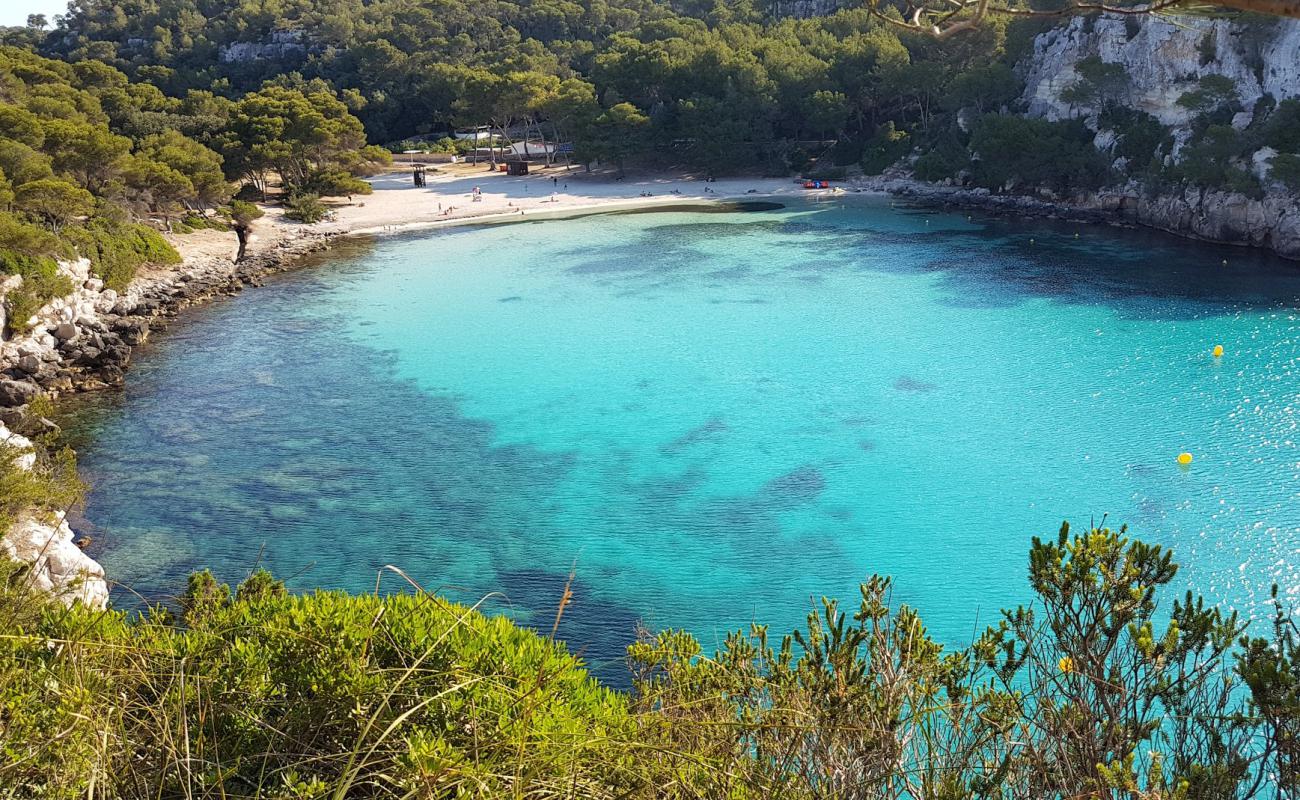 Фото Cala Macarella с золотистый песок поверхностью