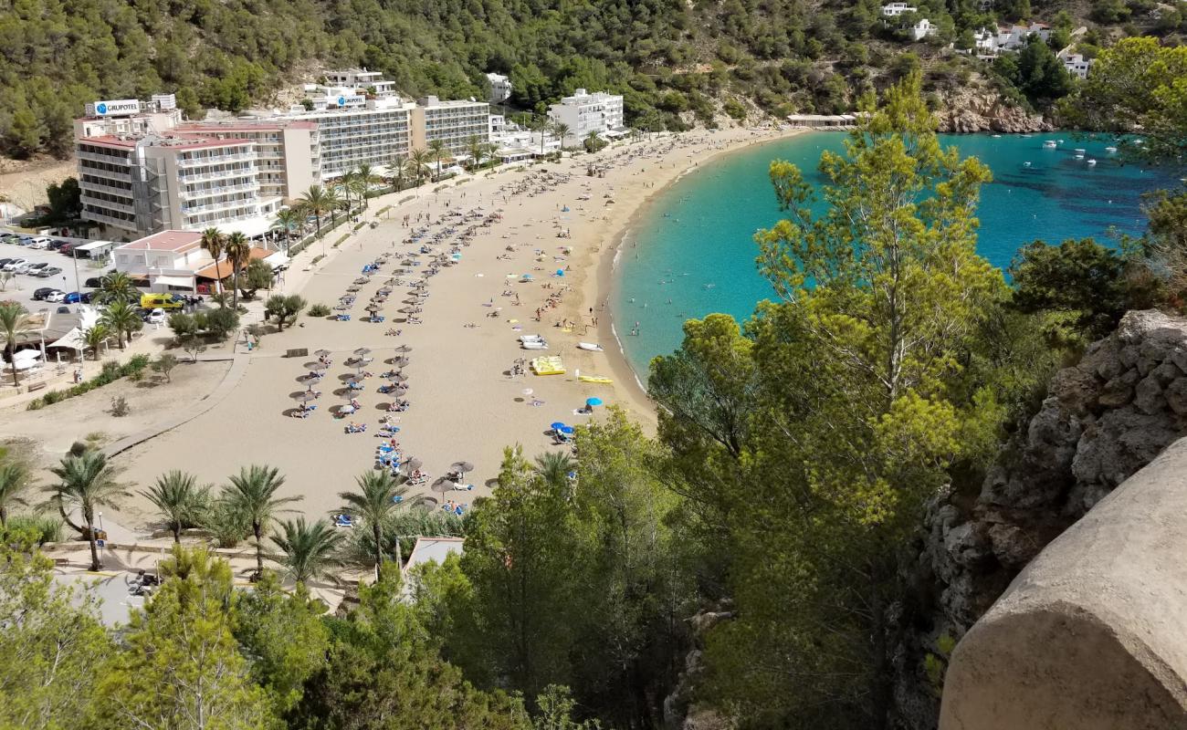 Фото Cala de Sant Vicent с золотистый песок поверхностью