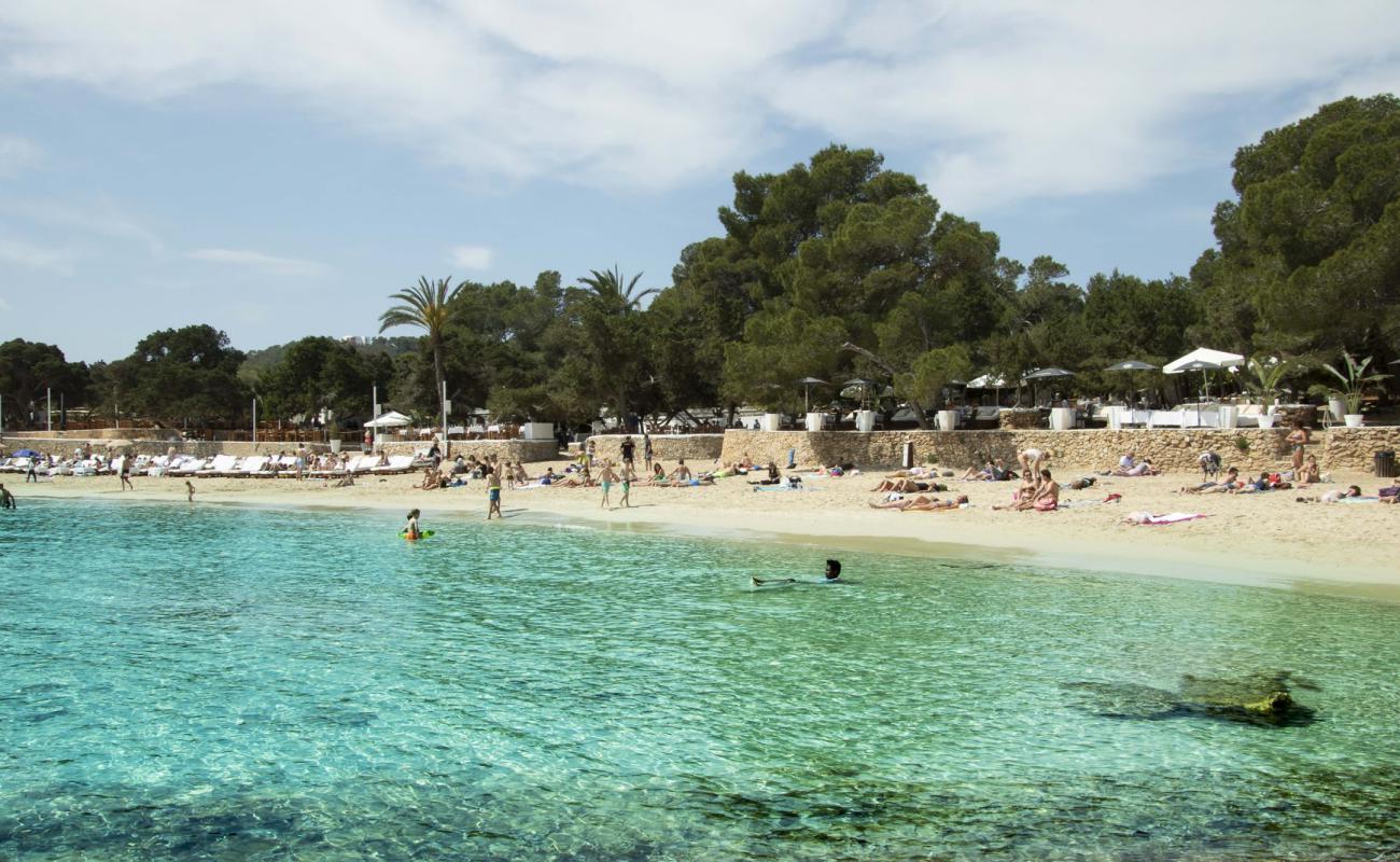 Фото Cala Bassa с золотистый песок поверхностью