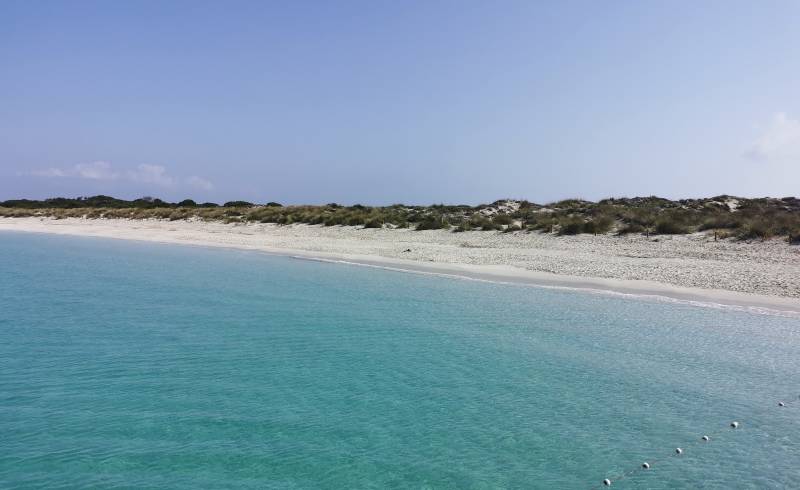 Фото Platja Es Cavallet - Es Cavallet Beach с золотистый песок поверхностью