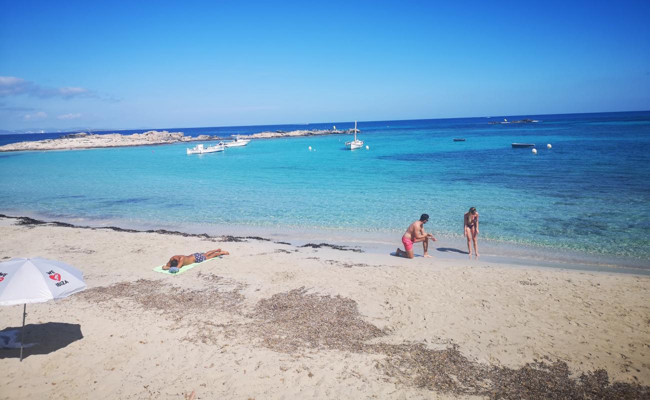 Фото Platja de la Torreta с белый чистый песок поверхностью